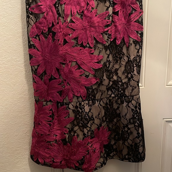 JS Collection Embroidered Lace Midi Dress in Black and Pink - Picture 7 of 12